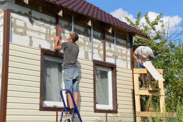 Best Siding Painting and Refinishing  in Lemay, MO