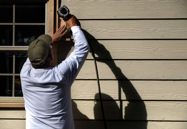 Best Siding for Commercial Buildings  in Lemay, MO