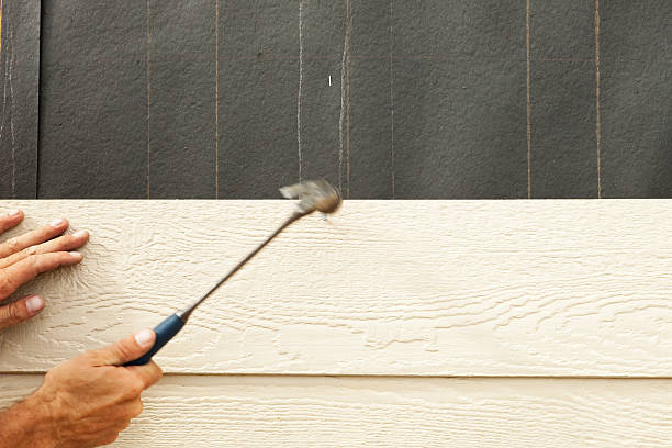Trusted Lemay, MO Siding Experts