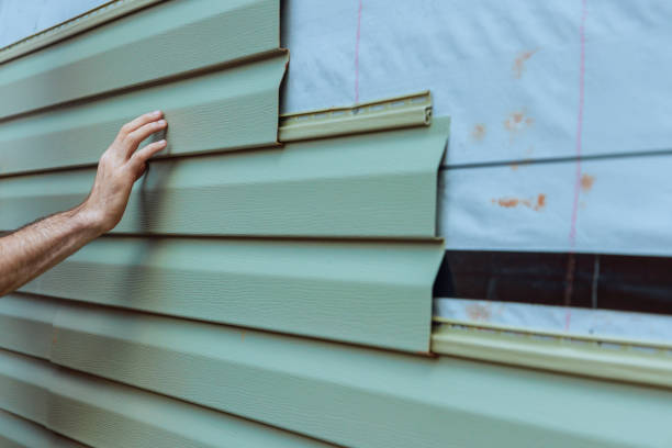Best Stone Veneer Siding  in Lemay, MO